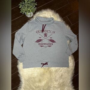 Harry Potter grey/burgundy Quidditch Hogwarts pullover sz XL